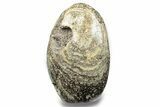 Free-Standing, Polished Ocean Jasper #254814-1